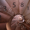 Alkalmazott matematikus (MSc)